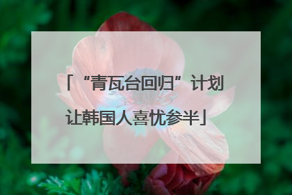 “青瓦台回归”计划让韩国人喜忧参半