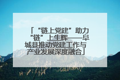 “链上党建”助力“链”上生辉——阜城县推动党建工作与产业发展深度融合