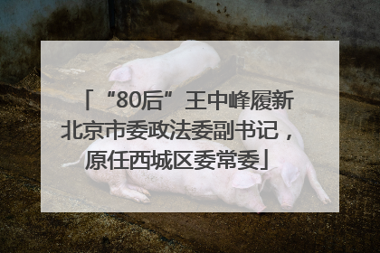 “80后”王中峰履新北京市委政法委副书记，原任西城区委常委