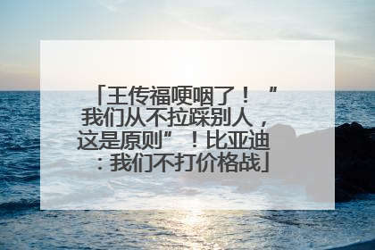 王传福哽咽了！“我们从不拉踩别人，这是原则”！比亚迪：我们不打价格战