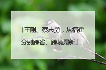 王刚、蔡志勇，从福建分别跨省、跨境履新