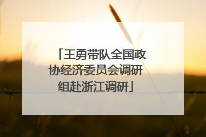 王勇带队全国政协经济委员会调研组赴浙江调研