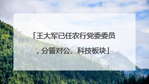 王大军已任农行党委委员，分管对公、科技板块