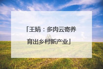 王婧：多肉云寄养 育出乡村新产业