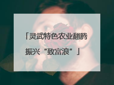 灵武特色农业翻腾振兴“致富浪”