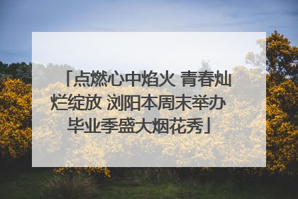 点燃心中焰火 青春灿烂绽放 浏阳本周末举办毕业季盛大烟花秀