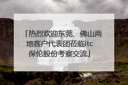 热烈欢迎东莞、佛山两地客户代表团莅临itc保伦股份考察交流