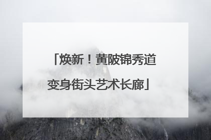 焕新！黄陂锦秀道变身街头艺术长廊
