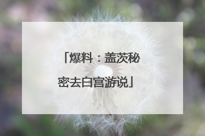 爆料：盖茨秘密去白宫游说