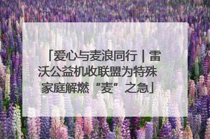 爱心与麦浪同行｜雷沃公益机收联盟为特殊家庭解燃“麦”之急