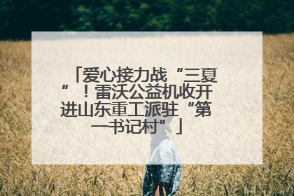 爱心接力战“三夏”！雷沃公益机收开进山东重工派驻“第一书记村”