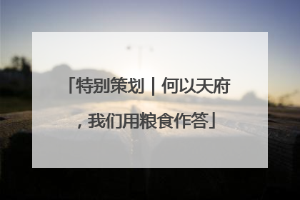 特别策划｜何以天府，我们用粮食作答