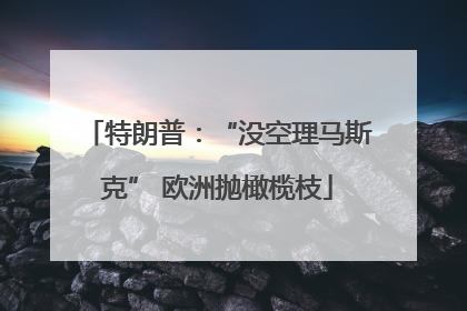 特朗普：“没空理马斯克” 欧洲抛橄榄枝