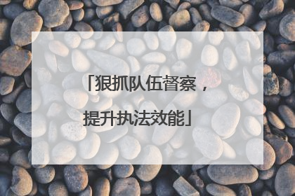 狠抓队伍督察，提升执法效能