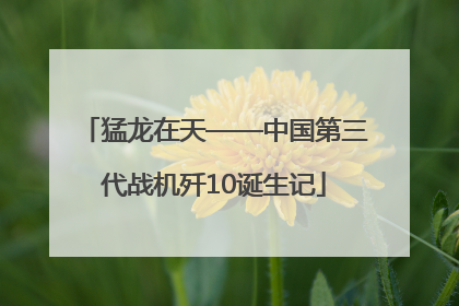 猛龙在天——中国第三代战机歼10诞生记