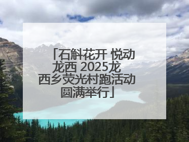 石斛花开 悦动龙西 2025龙西乡荧光村跑活动圆满举行