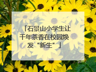 石景山小学生让千年茶香在校园焕发“新生”