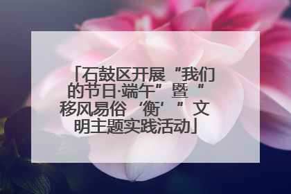 石鼓区开展“我们的节日·端午”暨“移风易俗‘衡’”文明主题实践活动