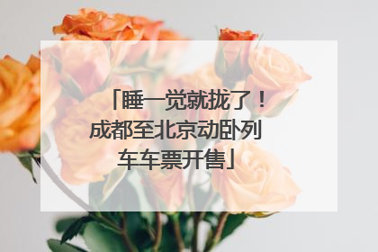 睡一觉就拢了！成都至北京动卧列车车票开售