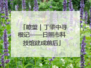 瞭望｜丁肇中寻根记——日照市科技馆建成前后