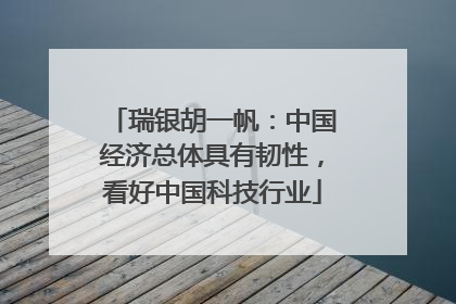 瑞银胡一帆：中国经济总体具有韧性，看好中国科技行业