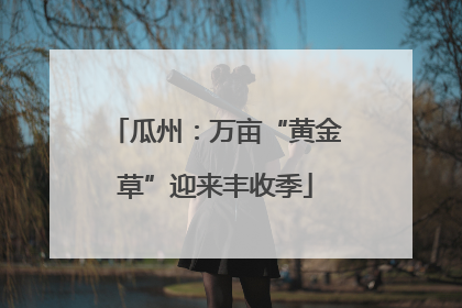 瓜州：万亩“黄金草”迎来丰收季