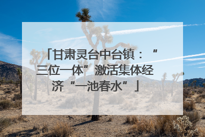 甘肃灵台中台镇：“三位一体”激活集体经济“一池春水”
