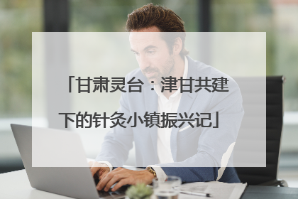 甘肃灵台：津甘共建下的针灸小镇振兴记