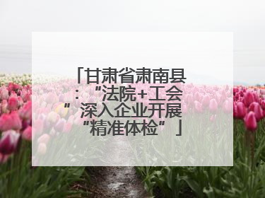 甘肃省肃南县：“法院+工会”深入企业开展“精准体检”