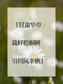 甘肃华亭:栽好梧桐树 引得凤来栖