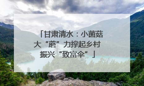 甘肃清水：小菌菇大“蘑”力撑起乡村振兴“致富伞”