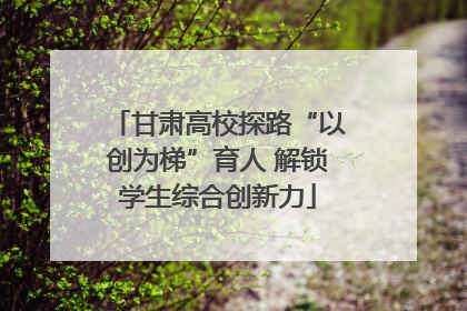 甘肃高校探路“以创为梯”育人 解锁学生综合创新力