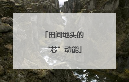田间地头的“芯”动能