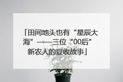 田间地头也有“星辰大海”——三位“00后”新农人的夏收故事