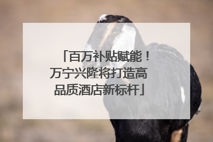 百万补贴赋能！万宁兴隆将打造高品质酒店新标杆