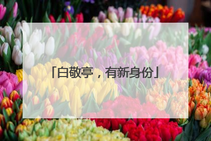 白敬亭，有新身份