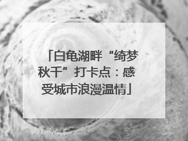 白龟湖畔“绮梦秋千”打卡点：感受城市浪漫温情