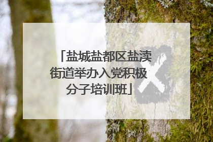 盐城盐都区盐渎街道举办入党积极分子培训班