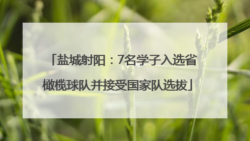 盐城射阳：7名学子入选省橄榄球队并接受国家队选拔