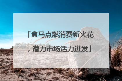 盒马点燃消费新火花，潜力市场活力迸发