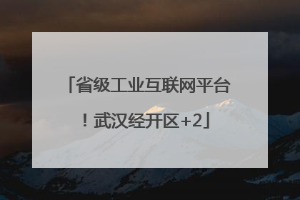 省级工业互联网平台！武汉经开区+2