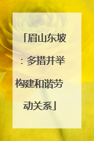 眉山东坡：多措并举构建和谐劳动关系