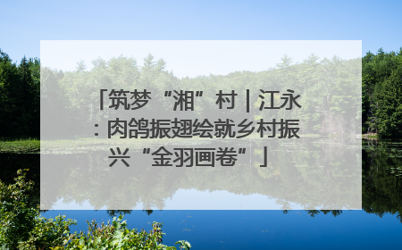 筑梦“湘”村｜江永：肉鸽振翅绘就乡村振兴“金羽画卷”