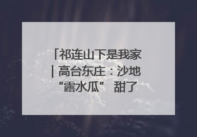 祁连山下是我家｜高台东庄：沙地“露水瓜” 甜了舌尖 富了农家