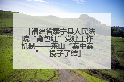 福建省泰宁县人民法院“背包红”党建工作机制——茶山“案中案”一揽子了结