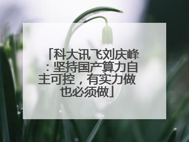 科大讯飞刘庆峰：坚持国产算力自主可控，有实力做也必须做