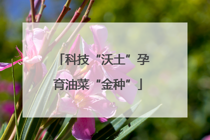 科技“沃土”孕育油菜“金种”