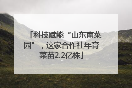 科技赋能“山东南菜园”，这家合作社年育菜苗2.2亿株