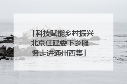 科技赋能乡村振兴 北京住建委下乡服务走进通州西集