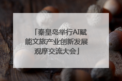 秦皇岛举行AI赋能文旅产业创新发展观摩交流大会